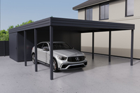 Doppelcarport + Abstellraum auf der Rückseite - PIR - ohne Wände